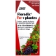 Floradix Fer et plantes Salus 250 ml v1